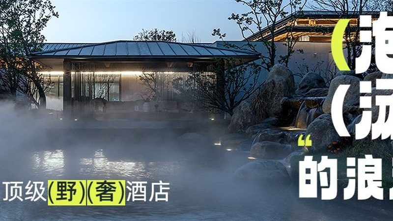 选择信誉良好的旅行社是确保旅行顺利的关键。以下是一些选择旅行社的参考因素：